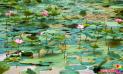 圖看延吉｜人民公園荷花盛開 夏日風光醉游人